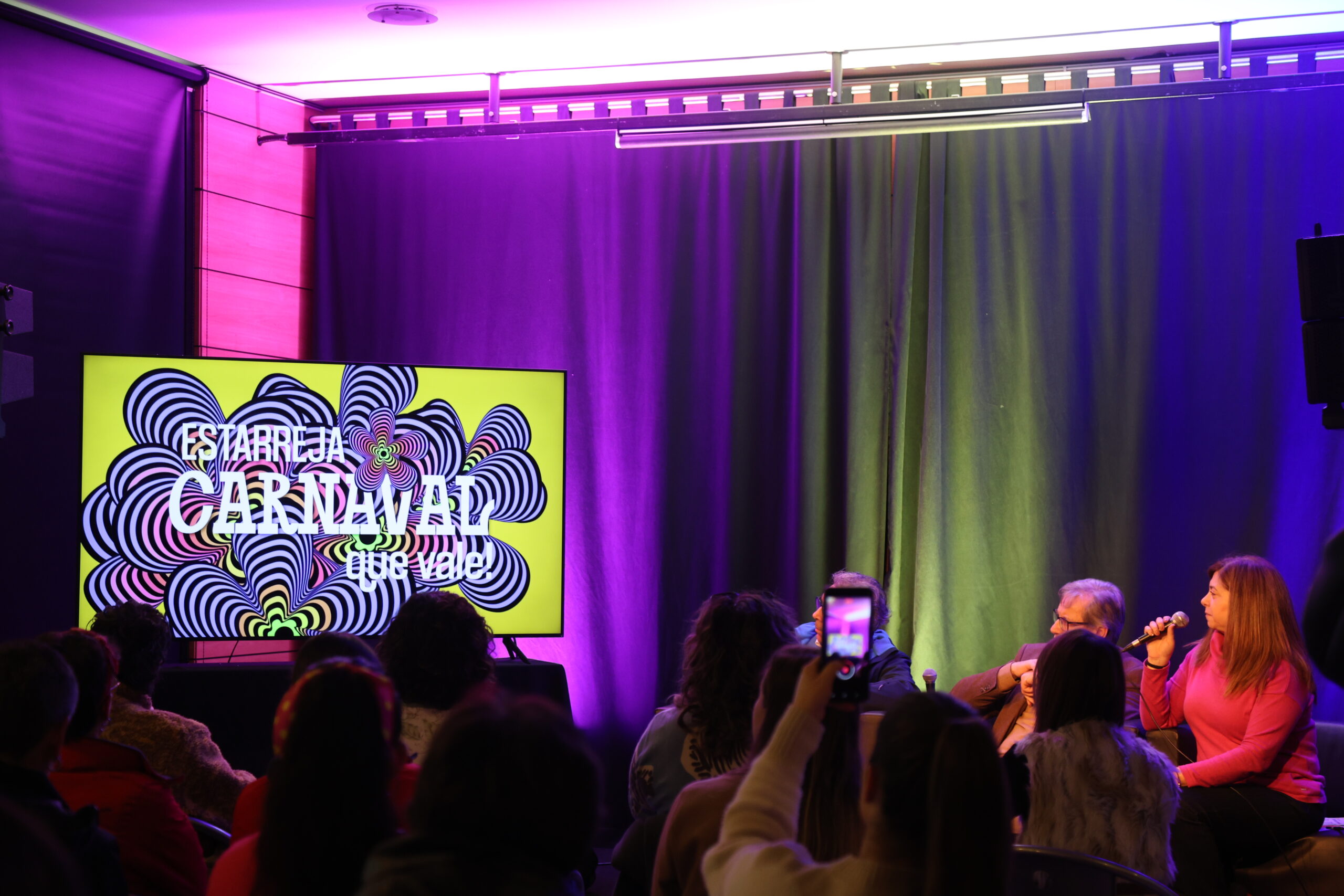 Carnaval de Estarreja que vale! Conheça a programação para a edição de 2025