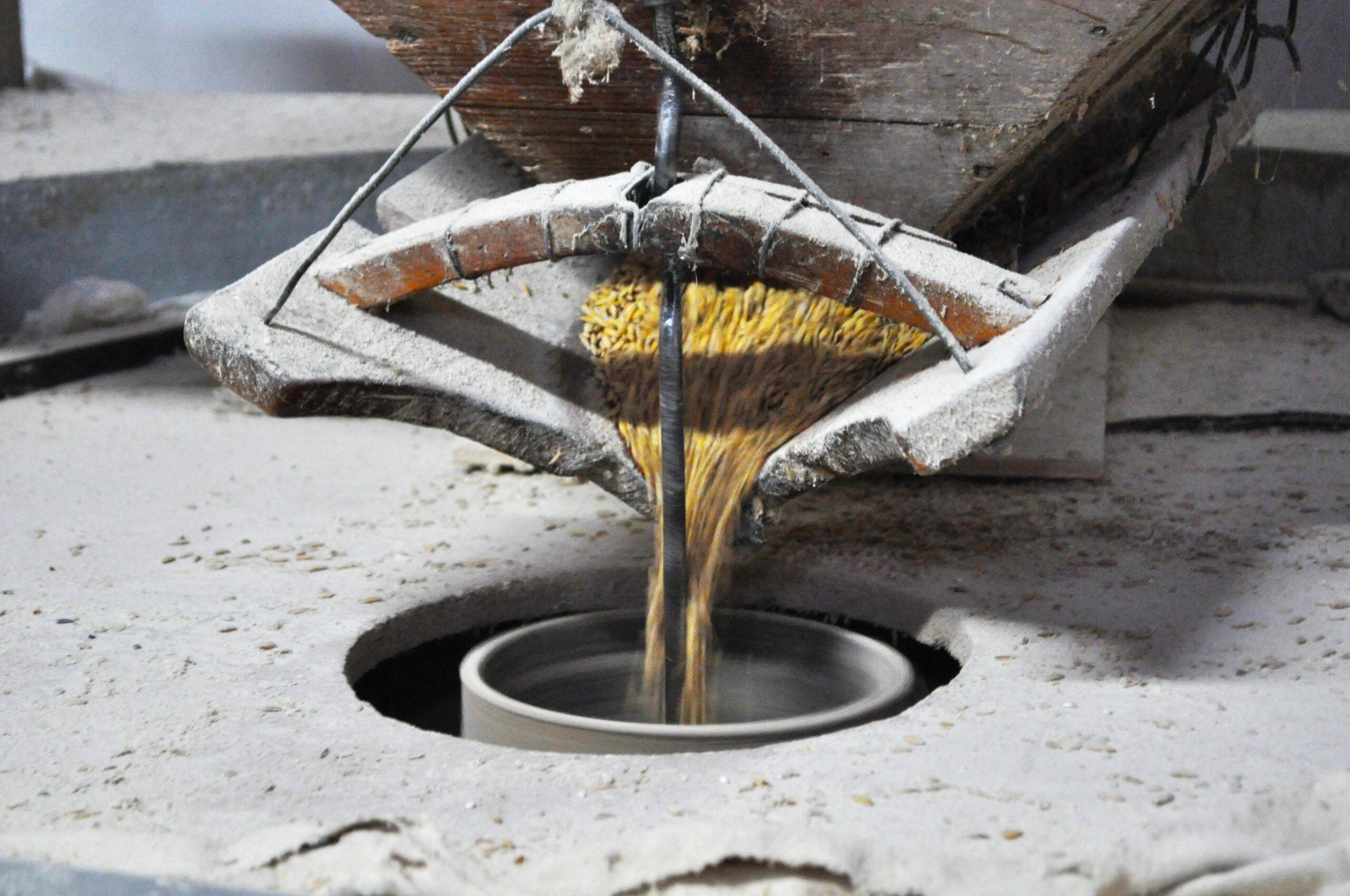 Dia Nacional dos Moinhos: venha descobrir os moinhos do nosso território